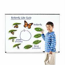Циклите от живота на пеперудата, Образователни материали 7-12 клас